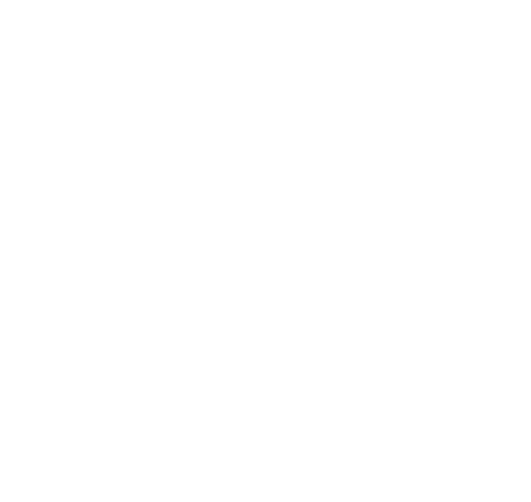 PRizm for Casting
